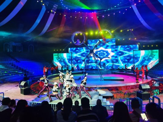 c:users13409desktop马戏团表演.jpg马戏团表演